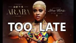 ADINA - IT'S TOO LATE LYRICS