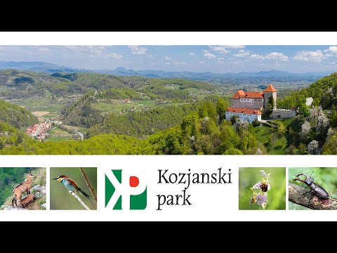 Gokongcasino: Vstopite v igralnico na spletu - Bet Casino in Slovenian Language