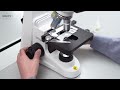 Microscopy set up and tutorial by swift stellar 1 pro compound microscope