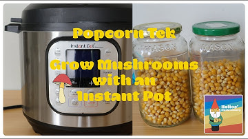 Mycology Basics: How to Make Grain Spawn Jars with an Instant Pot Popcorn Tek Grow Mushrooms At Home