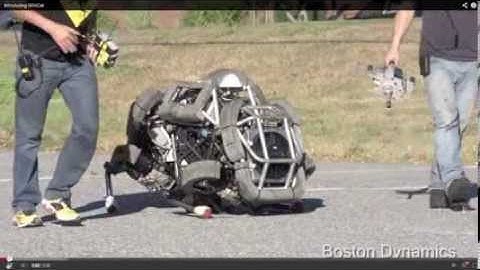 The Wild Cat: Scary Machines Four-legged Robot