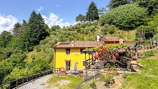 IL CASALINO - For SALE in Tuscany, near Lucca, farmhouse with land, panoramic view and swimming pool
