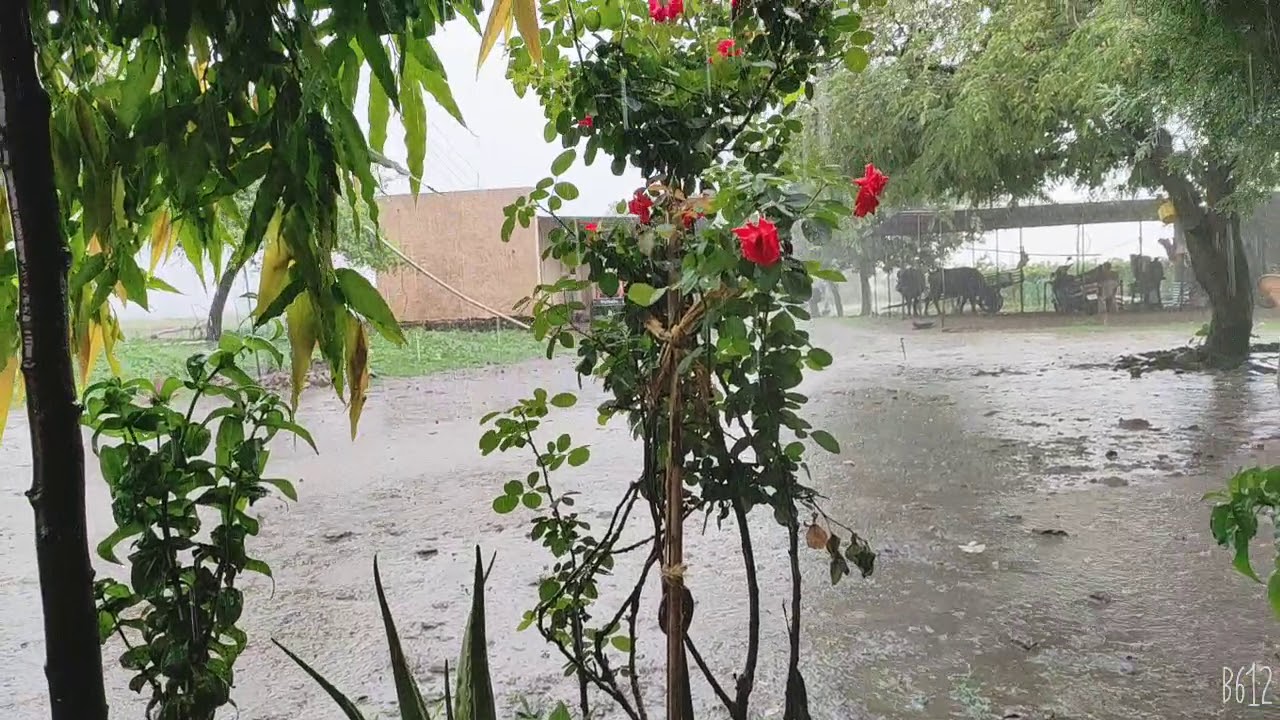 I Find Peace In Rain YouTube I Find Peace In Rain YouTube
