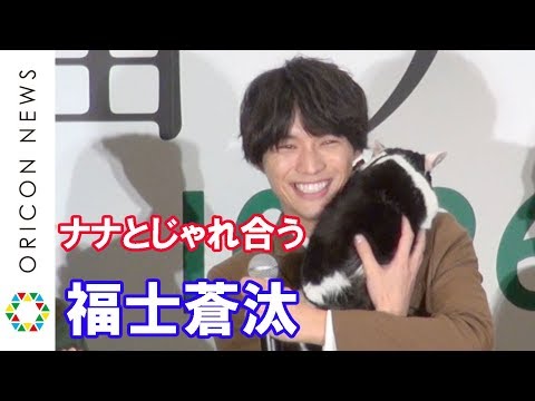 福士蒼汰、映画中の猫“ナナ”を抱いてじゃれ合う 映画『旅猫リポート』完成記念カーペットセレモニー