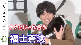 福士蒼汰、映画中の猫“ナナ”を抱いてじゃれ合う　映画『旅猫リポート』完成記念カーペットセレモニー