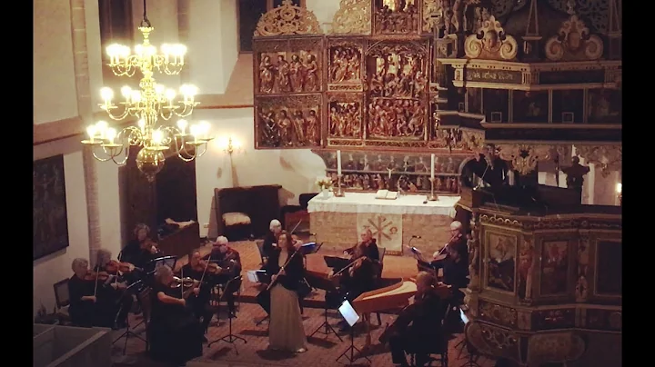 Carl Philipp Emanuel Bach - Flute Concerto in D minor, Wq 22