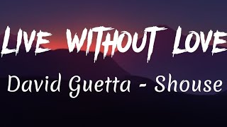 David Guetta ft Shouse - Live Without Love (lyrics) Resimi