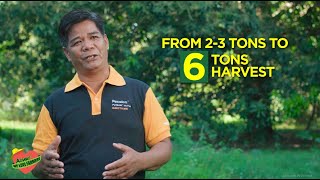 Pexalon Insecticide of Corteva for Cecid Fly and Mango Leafhopper | Distributed by Agway