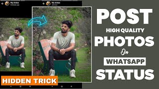 Upload High Quality Photos On Whatsapp Status Without Loosing Quality screenshot 5