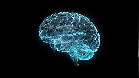 3D Brain Anatomy Rotation alpha black chroma key