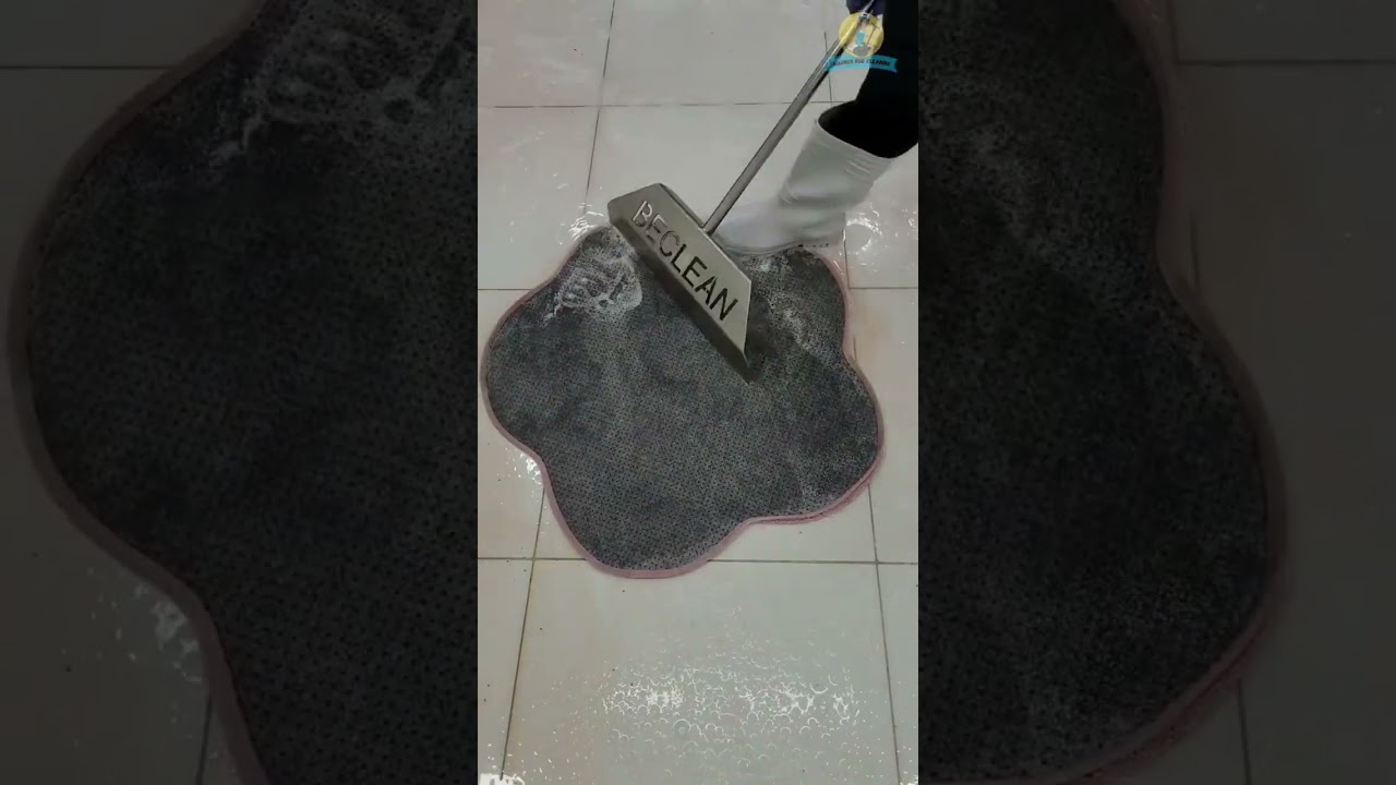 Satisfying Rug Cleaning ASMR 
