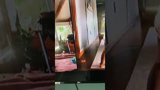 Huggies Spinning Commercial Disney Junior Version