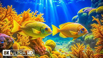 Tranquil 8K Aquarium Video – Peaceful Ocean World 🐠 Calming Music for Sleep & Deep Focus