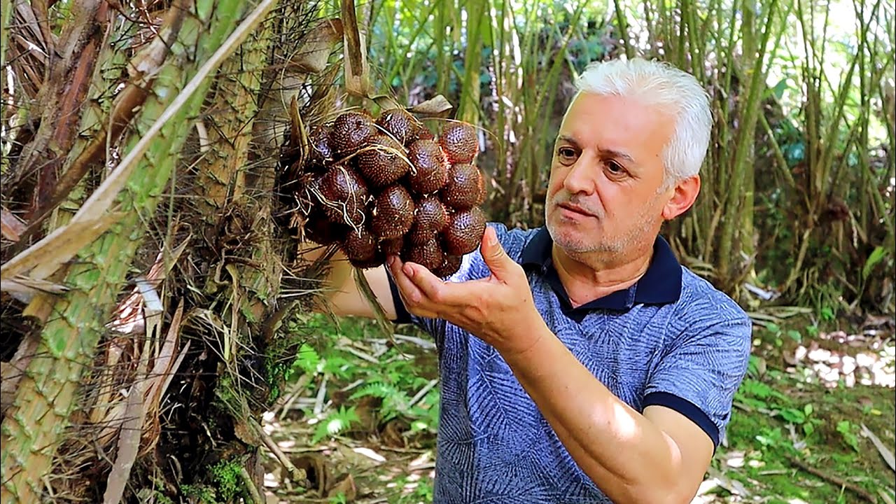 East Java Tour | JAVA INDONESIA IS LIKE ANOTHER PLANET | Tropical Fruit ...