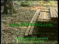 Wenge Sawn Timber Milletia Laurentii Wenge Sawn Timber Milletia Laurentii