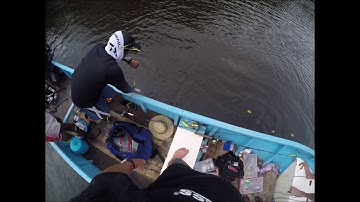Kaimana Barramundi