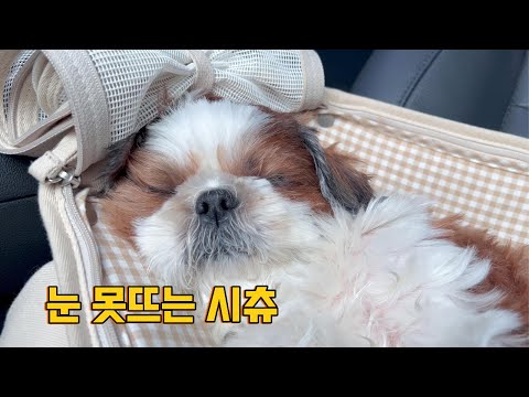 월욜엔 원래 눈이 안떠지는거야! [출퇴근모음]