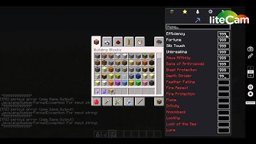TooManyItems [Updated] Review! (Minecraft PC)