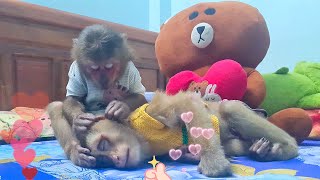 Smart monkey Asher takes care of super cute sleeping Sam boy
