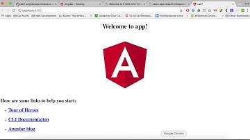 Explaination video for final angular project