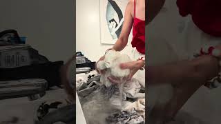 #cruise #cruiseship #cruisehacks #cruisetips #laundry @tidelaundry @norwegiancruiseline