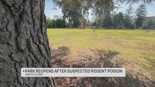 Santa Clara park reopens after suspected rodent poison