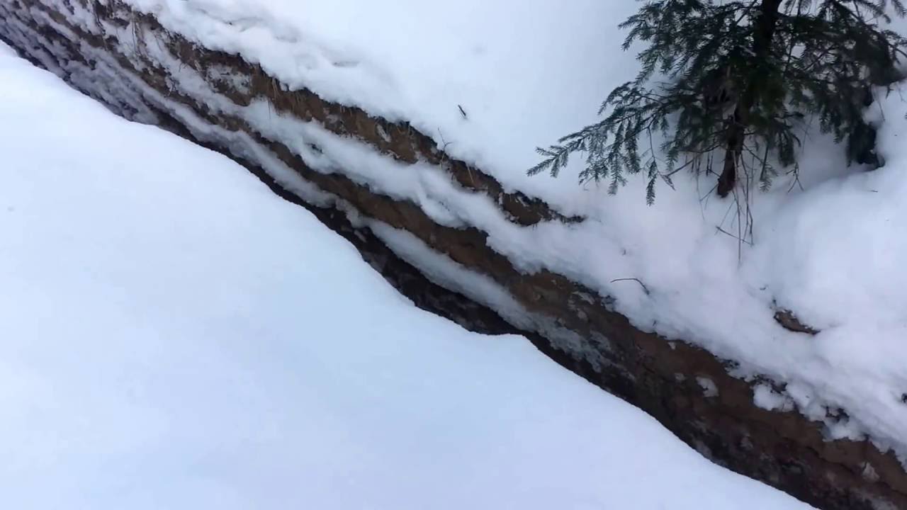 Avant 220 копаем в Декабре!