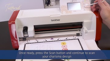 Tattered Lace USBs: Resizing charisma to A4