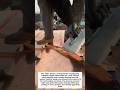 Copper Roof Crafting Satisfying Process 🔨 #Roofing #Construction #Metalwork