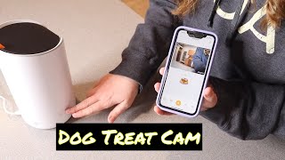Arenti Dog Treat Camera Review | Two Way Audio with Dog Barking Alerts