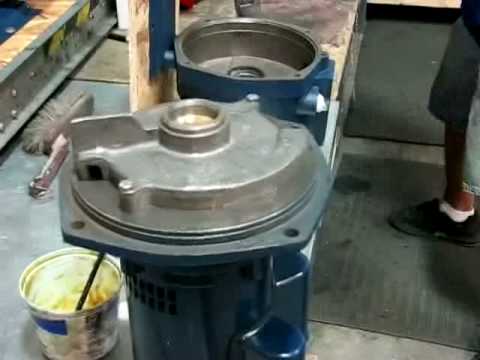 3/4 - 3HP LP Series Centrifugal Pump Assembly