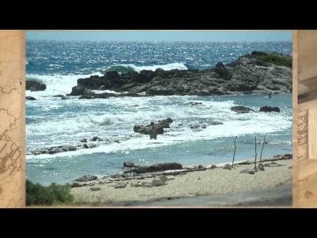 2014 Square Dance Cruise