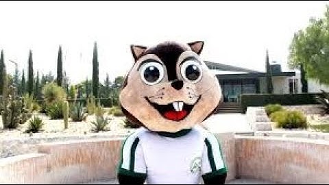 Configurar y comprobar el servicio de DNS en centOS 7