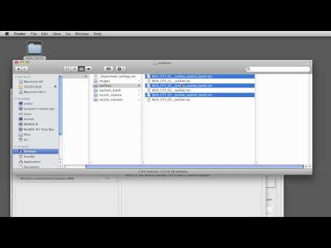 FISH-QUANT video tutorial 6:  mature mRNA quantification (batch)