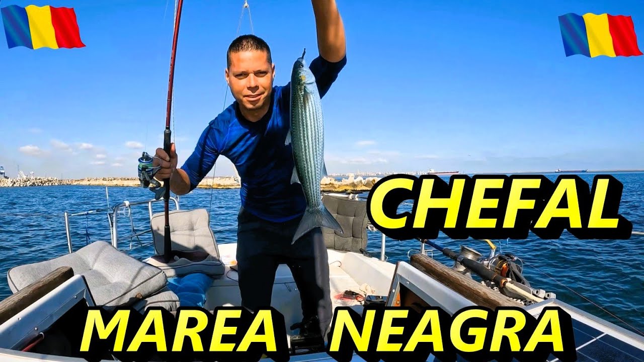 Am prins chefali dupa chefali la bombarda  in Marea Neagra.