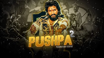 ALLU ARJUN - PUSHPA 2 EDIT | HAPPY BIRTHDAY EDIT | PUSHPA THE RULE EDIT | DANZER EDITZ