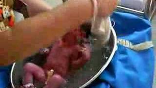 First bath part 2