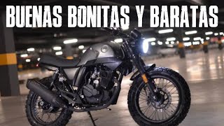 Las MEJORES motos CAFE RACER BARATAS