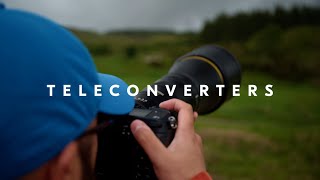 Nikon School: Using teleconverters for bird photography