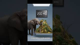Which animal eats the most food in one single day? 💥💯#shorts #animals #food
