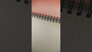5 subject notebook review#Hobby Lobby