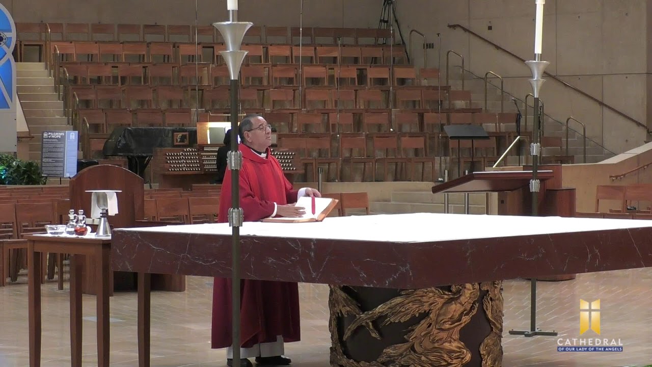 Memorial of Saint Martin of Tours, Bishop - Veteran's Day Mass at the Cathedral