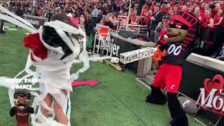 The Cincy Bearcat Highlights 2019-2020