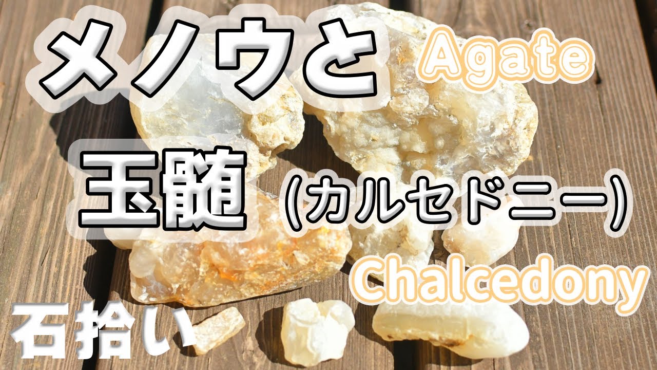 【メノウとカルセドニー】強風の中の石拾いメノウと玉髄(カルセドニー)を探します◆Agate　Chalcedony