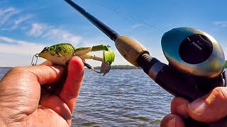 BEST TOPWATER BASS FROG?! - Fishing Ultra Shallow Water for Bass and Bowfin