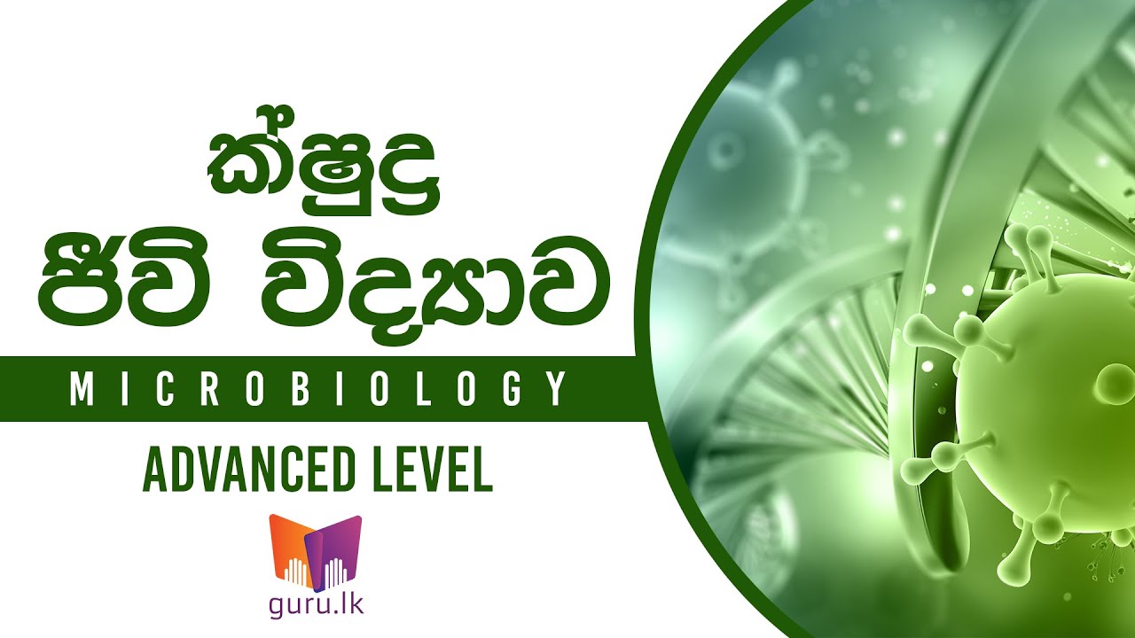 A/L Biology Lessons - Microbiology | ක්ෂුද්‍ර ජීවි විද්‍යාව - YouTube