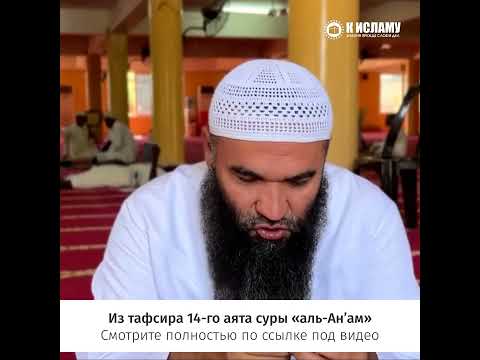 Знание Корана и Сунны облегчают мирские науки #shorts Ринат Абу Мухаммад