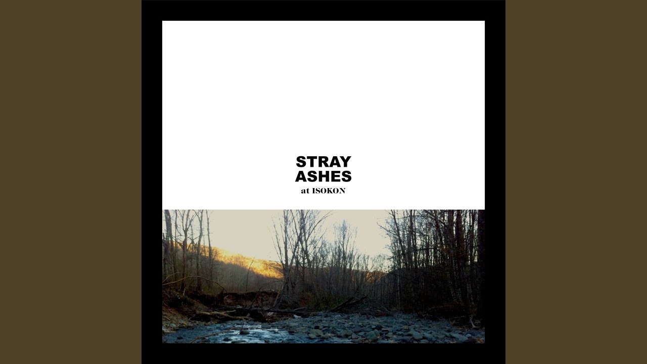 Watch Crooked Branches on YouTube Watch Crooked Branches on YouTube