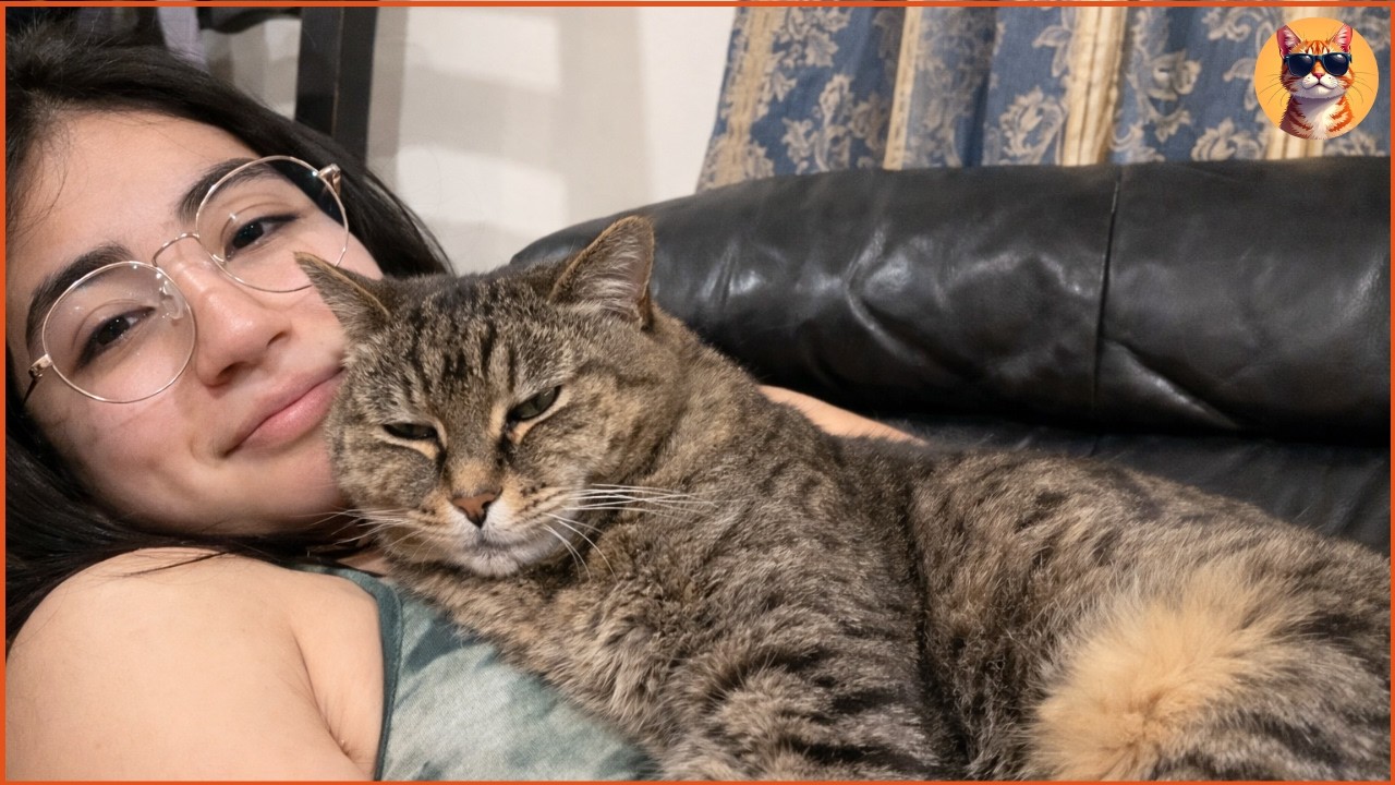 Они приютили пожилую кошку, мимо которой все проходили, пока она не стала их спасительницей.