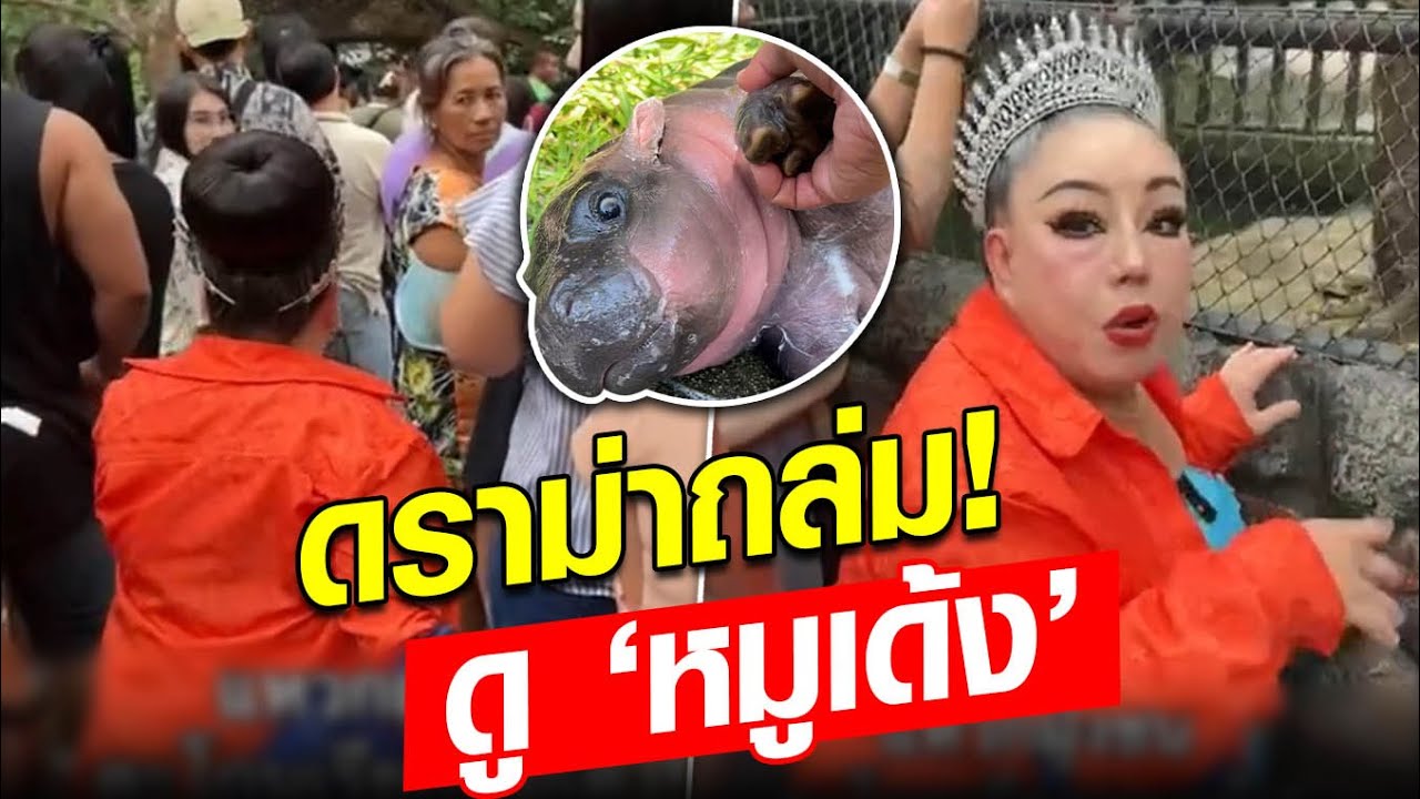 แบบนี้ก็ได้หรอ ลีน่าจัง โดนดราม่าถล่ม หลังเข้าไปดูหมูเด้ง ซ้ำสวนกลับเจ้าหน้าที่อีก: Khaosod - ข่าวสด